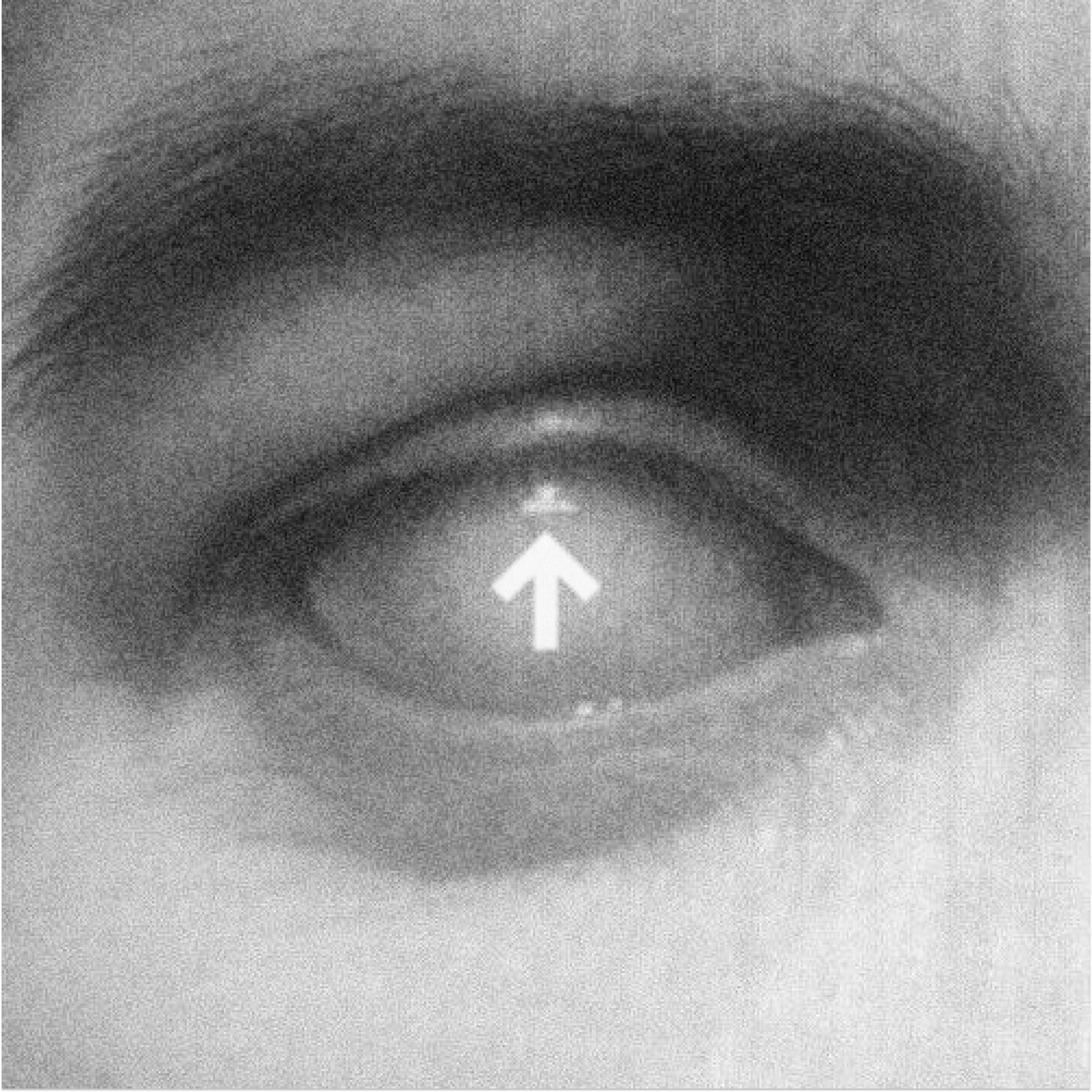 Higher arrow reflected in an eye