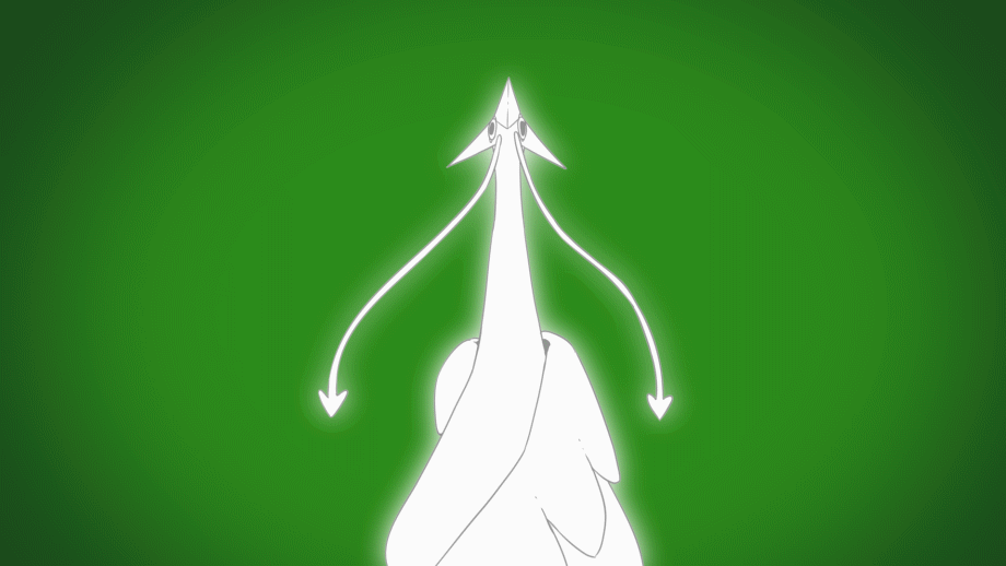 Animated bird drawing Higher arrows